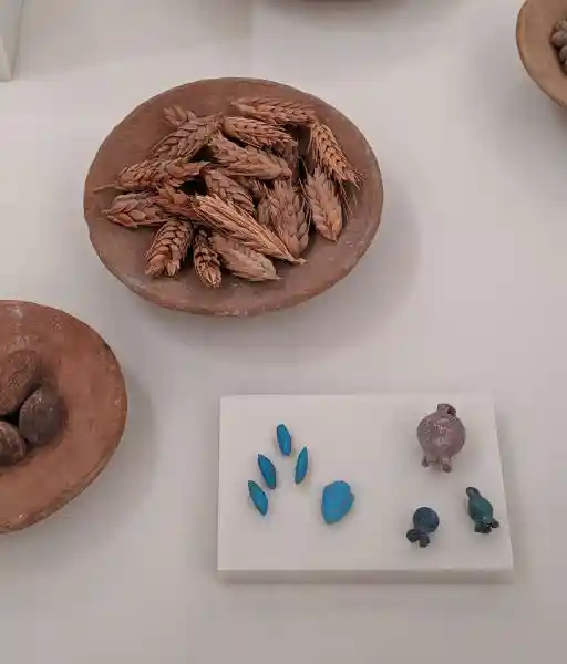 Models of grains, New Kingdom, 18th Dynasty, circa 1351-1334 BC